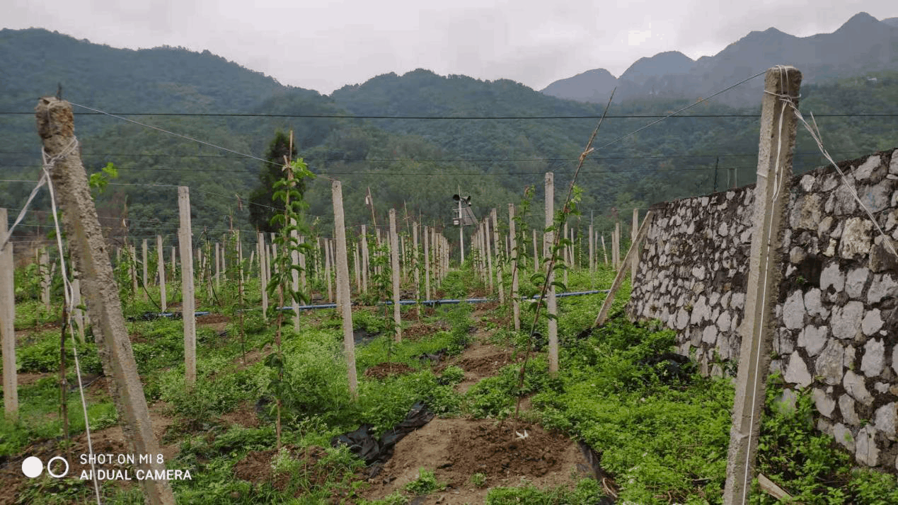 泄洪預(yù)警廣播